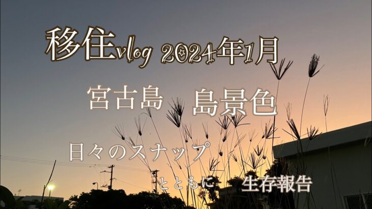 2023年 【移住vlog】2024年1月。島風景。日々のスナップで生存報告。笑