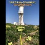 2023年 緑と空、灯台のコントラストが素晴らしい｢東平安名崎｣【宮古島観光】(18)  2024年3月13日(水)