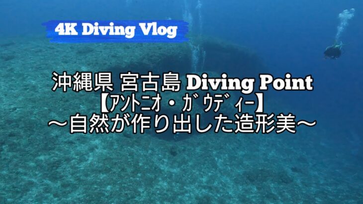 2023年 【4KダイビングVLOG】 沖縄県 宮古島/ポイント名 ｱﾝﾄﾆｵ・ｶﾞｳﾃﾞｨｰ