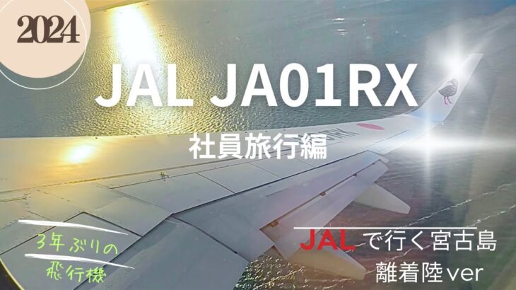 2023年 【JALで行く宮古島】​⁠３年ぶりに飛行機乗ってみた‼️社員旅行編✨@Georgetv130 #飛行機#JAL#宮古島