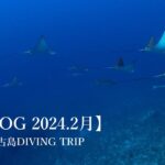 2023年 【VLOG】2024年2月 Miyako Island Diving Trip 宮古島ダイビング  Miyakojima Diving  女王の部屋 ランディングアーチ  悪魔の館   パナタ  他