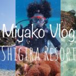 2023年 【宮古島Vlog】日本最南端Hyatt系SLH シギラリゾートを解剖🍴|シギラミラージュ・アラマンダ