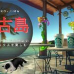 2023年 【カフェ bgm スタバ】Miyako-jima –  宮古島のビーチで心地よいスターバックスを楽しむ ~~