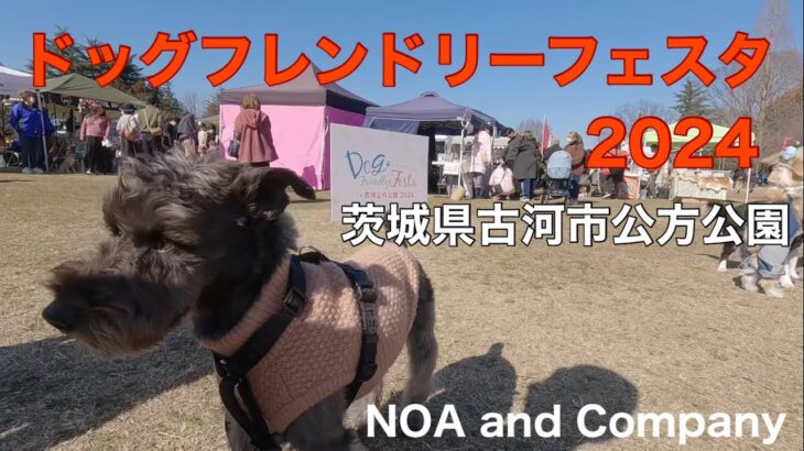 【ドッグイベント】ドッグフレンドリーフェスタin茨城県古河市公方公園