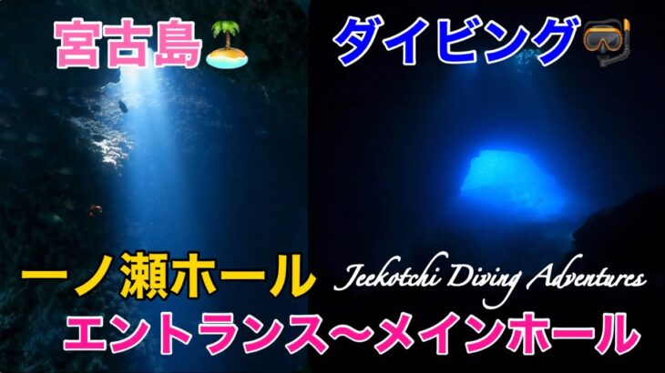 2023年 宮古島🏝️ダイビング🤿下地島・一ノ瀬ホール　エントランス〜メインホール🪸😆👍