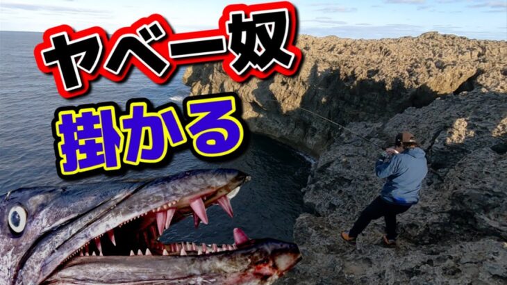 2023年 やっぱりヤバいヤツがいるんですよ！この海には！！～沖縄離島宮古島のポテンシャル～