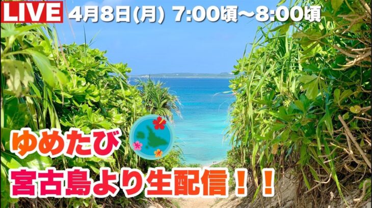 2023年 【宮古島より生配信】朝の島を散歩しましょう🌺2024.4.8