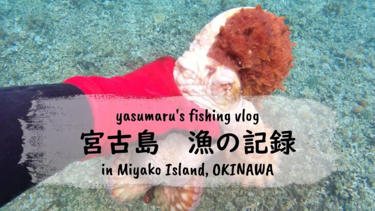 2023年 【沖縄・宮古島の海2024】漁の記録4月 タコ・シャコガイ fishing VLOG