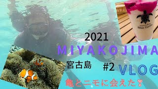 2023年 【台風一過　宮古島でウミガメシュノーケリング】宮古島旅行2日目/シュノーケルでウミガメとニモに会えた/海の見えるカフェ2021年