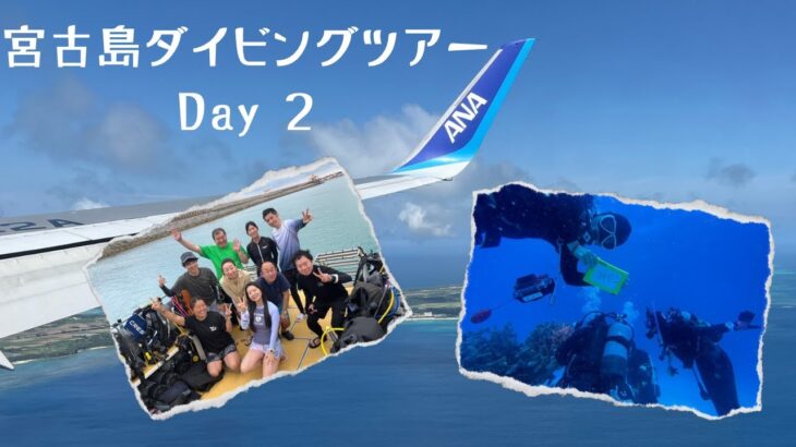 2023年 KANATA Diving project　宮古島ダイビングツアー動画②