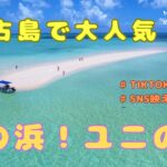 2023年 【宮古島NO1ツアー】チェゆうやと行く！幻のユニの浜ツアー🐬