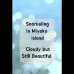2023年 シュノーケル in 宮古島 Snorkeling in Miyako Island Cloudy but still Beautiful!