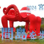 2023年 ２０２４　宮古島　part３　　来間島を歩き・・タコに会う！