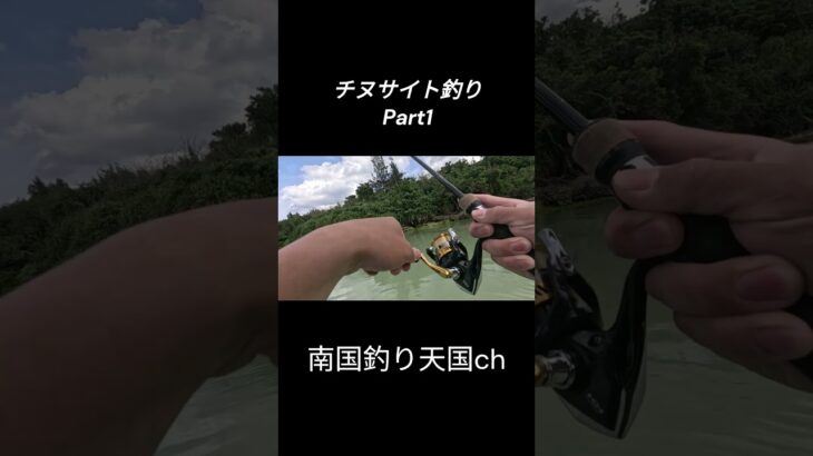 2023年 チヌサイト釣りpart1 #fishing #fishinglife #沖縄 #宮古島 #ルアーフィッシング #釣り #チヌサイト釣り #チヌ #shorts