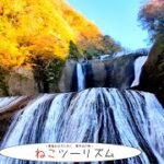 【猫と旅行】日本三大名瀑『袋田の滝』【茨城県】