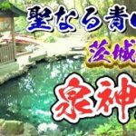 【茨城県観光】青い池！泉神社の全てを解説！⛩️