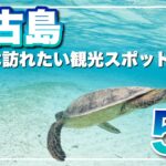 2023年 宮古島観光スポット５選！宮古島の人気観光スポットです！自然豊かで癒されます！