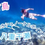 2023年 宮古島で潜るなら絶対ここ！！日本最大級の珊瑚礁群【八重干瀬】