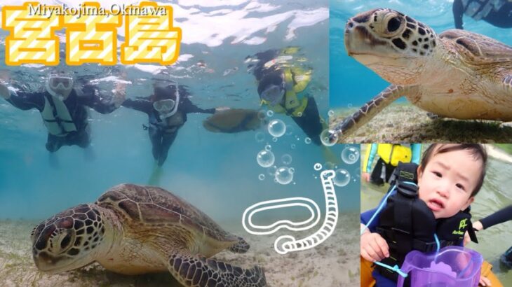 2023年 【宮古島vlog】2歳でシュノーケルデビュー！&ウミガメに遭遇しました🐢❤️@VLOGMiyuYucchiVlog