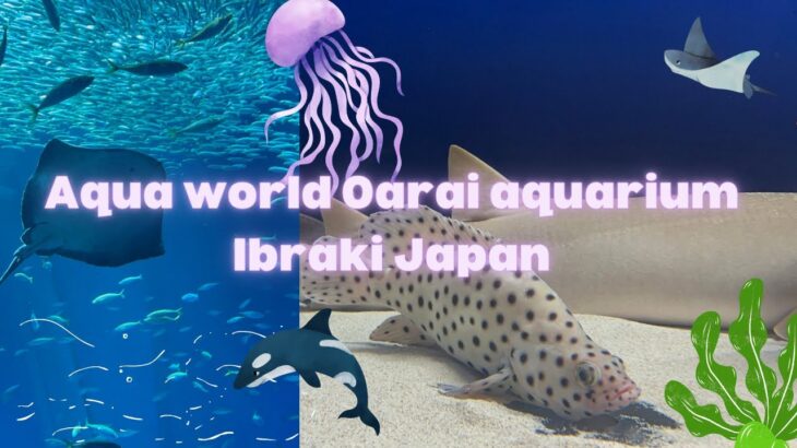 😳1st time original pearl found from 🦪 || aqua 🌎 oarai aquarium  アクアワールド茨城県大洗水族館 ||  explore ibaraki