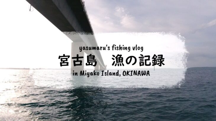 2023年 【沖縄・宮古島の海2024】漁の記録5月 こんな日もあるさ… fishing VLOG