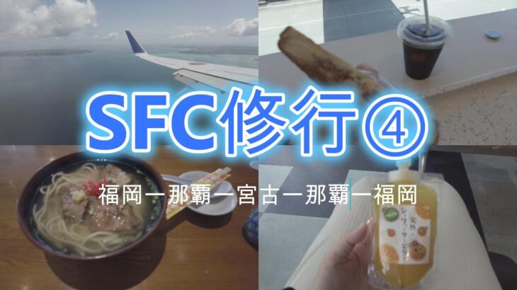 2023年 【2024SFC修行】④　修行ついでに宮古島のスーパーを楽しむ主婦 　#ana #sfc修行 #女一人旅 #福岡空港 #40代パート主婦 #那覇空港＃ANA