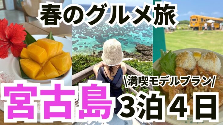 2023年 【保存版】これで完璧！宮古島グルメ満喫3泊4日のおすすめプラン紹介します