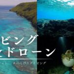 2023年 【4K・ダイビング・ドローン】2024年04月の宮古島でいろいろ撮影してきました！