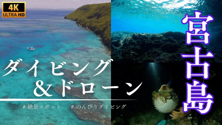 2023年 【4K・ダイビング・ドローン】2024年04月の宮古島でいろいろ撮影してきました！