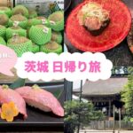 【Ibaraki  Trip】茨城日帰り旅行　メロンに市場寿司に常陸牛に‥茨城の旨味を食べ尽くす！Japan travel