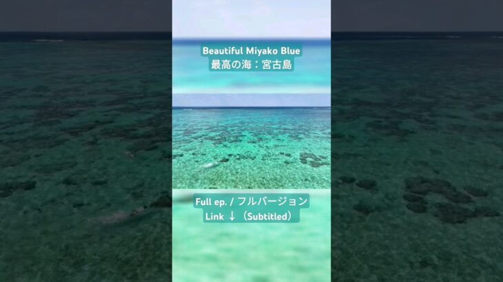 2023年 【#JAPAN #Okinawa #Miyako #Blue 】#Snorkeling w. #Seaturtles in Miyako #宮古島 !【#Bestbeaches #ウミガメ #珊瑚 】