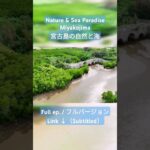 2023年 【#JAPAN #Okinawa #Miyako 】#Sea and #Nature in Miyako #宮古島 !【#Underwater #海中公園 #マングローブ #Mangroves 】