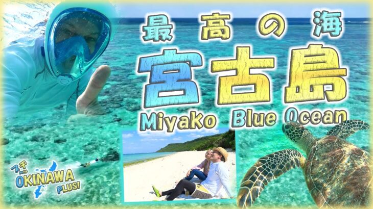 2023年 【宮古ブルー】🌊最高の海！初宮古島でスノーケリング！🐡（新城海岸）【Petit OKINAWA PLUS!】【🇯🇵字幕👂】