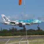 2023年 Plane Spotting Live!! Miyako Airport Okinawa Japan 宮古空港 05/16/2024