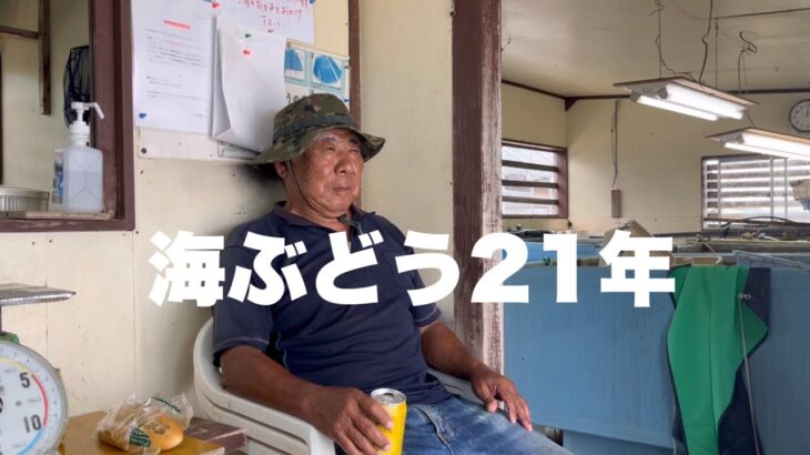 2023年 （宮古島）やぎ飼いのもっちゃんTV 大先輩の貴重なお話を伺いました！海ぶどう養殖の神様降臨！若者へのメッセージも！