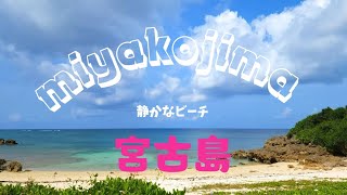 2023年 宮古島miyakojima ５月【島んちゅ散歩】