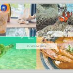 2023年 [trip vlog]宮古島旅行✈️ 食べて泳いで癒されてきた| Miyakojima trip