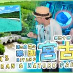 2023年 第三十旅「🌅海と自然の楽園：宮古島🌊海中公園とマングローブ林！🌳」【🇯🇵字幕👂】