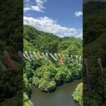 [茨城][龍神大吊橋]日本最大級歩行者用の橋