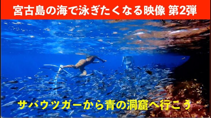 2023年 【スキンダイビング】宮古島の海で泳ぎたくなる映像第２弾　沖縄県宮古島市伊良部島サバウツガーから青の洞窟へ