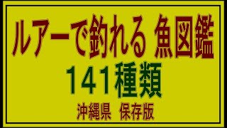 2023年 沖縄　ルアーで釣れる魚図鑑　ジギング　宮古島