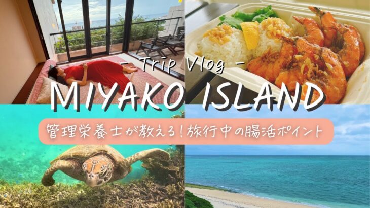 2023年 【宮古島vlog】管理栄養士が教える！旅行中の腸活ポイント