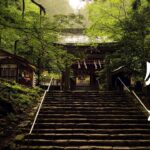 巨樹に包まれた秘境のパワースポット/花園神社/異世界/茨城観光旅行vlog