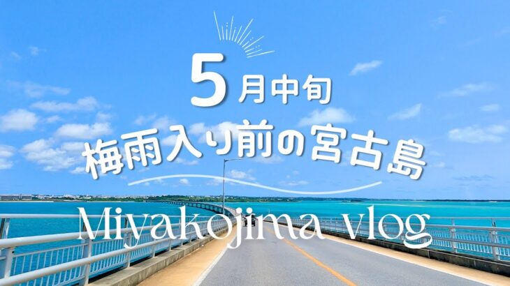 2023年 【日常vlog】5月の宮古島 │ 地元民の海開き │ 老舗そば屋と新店舗グルメ │ 宮古島の夜アイス│伊良部大橋ドライブ