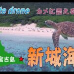 2023年 【1min. drone #203】沖縄県宮古島市・新城海岸～ウミガメに会えるビーチ～