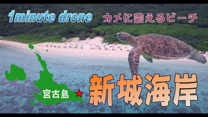 2023年 【1min. drone #203】沖縄県宮古島市・新城海岸～ウミガメに会えるビーチ～