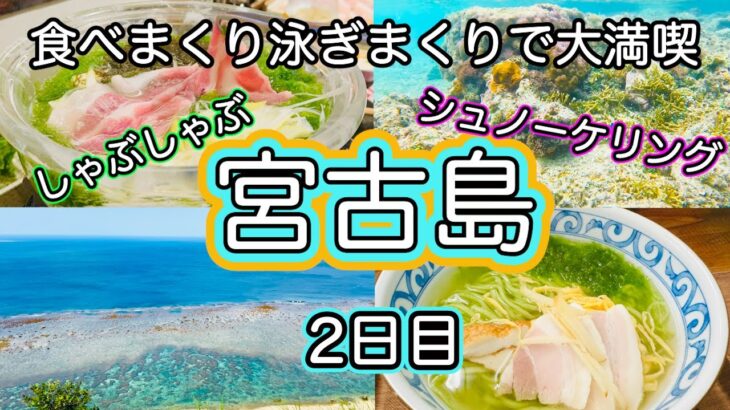 2023年 【宮古島】朝から食べまくり、泳ぎまくりで大満足の2日目🐟