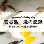 2023年 【沖縄・宮古島の海2024】漁の記録5月 久しぶりの釣り fishing VLOG