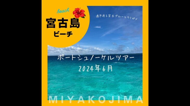 2023年 【世界一綺麗な海】2024年6月最新！宮古島ボートシュノーケルツアー！