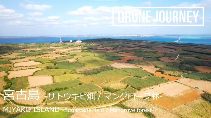 2023年 ドローン空撮 日本の絶景 [宮古島 (サトウキビ畑・マングローブ林)] [DJI Air2S] Drone Movie Miyako Island Sugercorn & Mangrove Japan